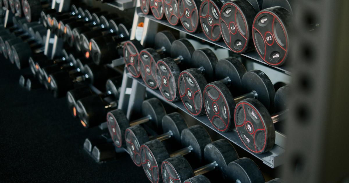 Dumbbells on a gym rack, essential for performing effective dumbbell chest exercises