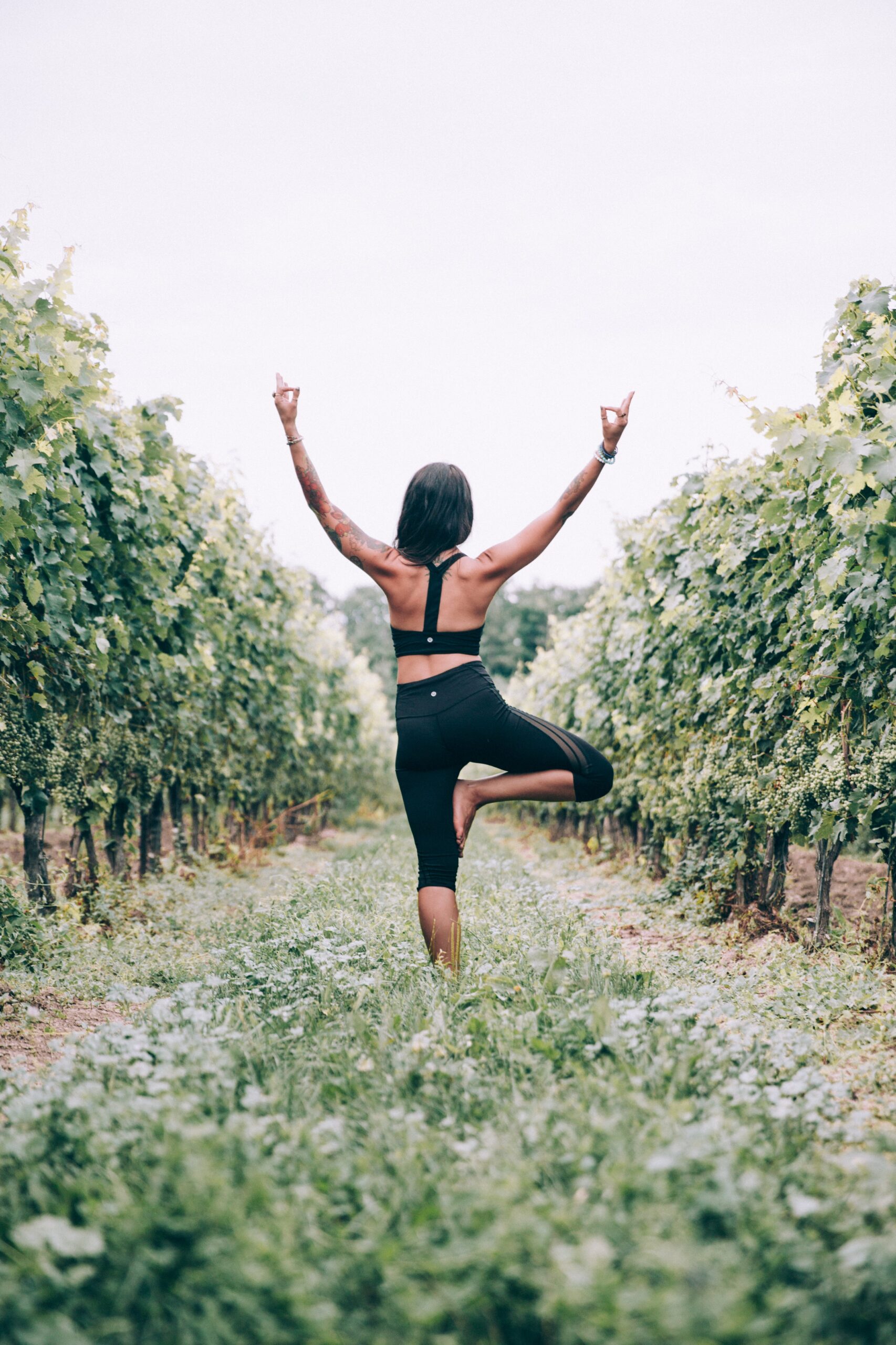 tree-pose-in-vinyard-great-balance